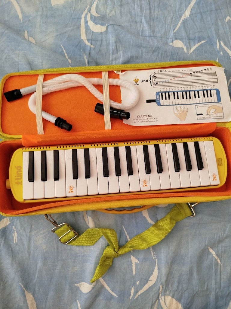 melodika - 2