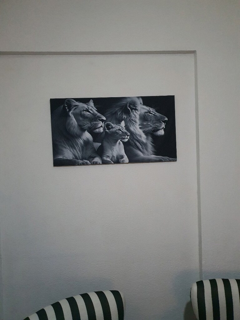 Büyük boy bez tablo - 2