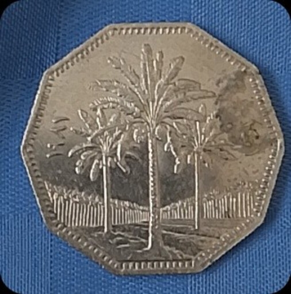 koleksiyonum - 9