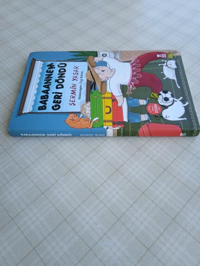 Babaannem Geri Döndü Şermin Yaşar Kitap - 3