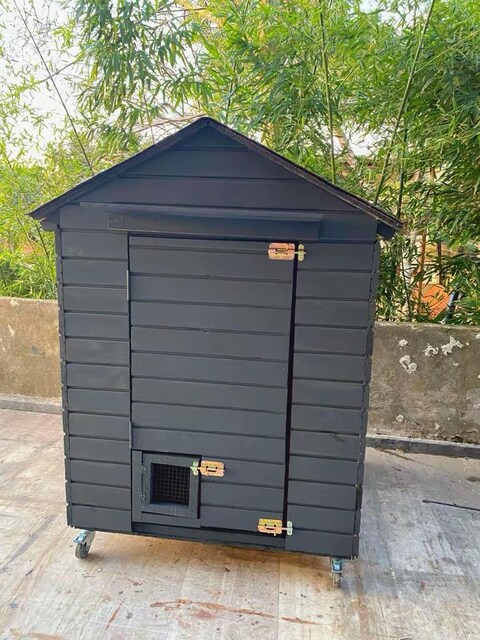 sokak kedi evi