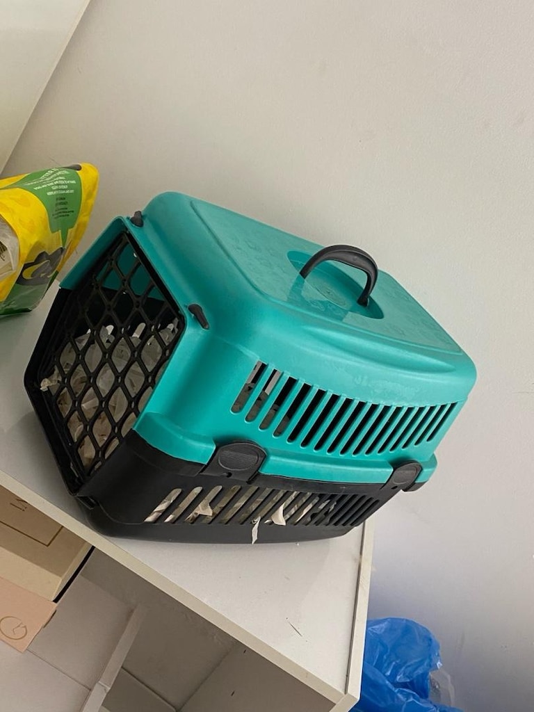 Kedi Köpek Taşıma Çantası - 4