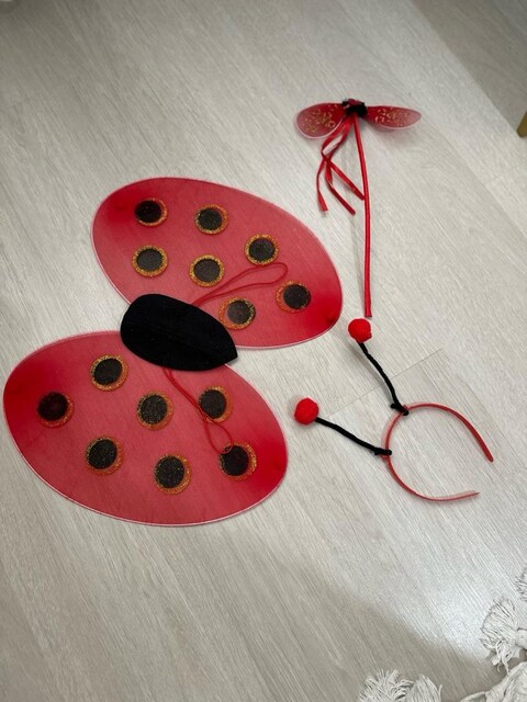uğur böceği kostüm set