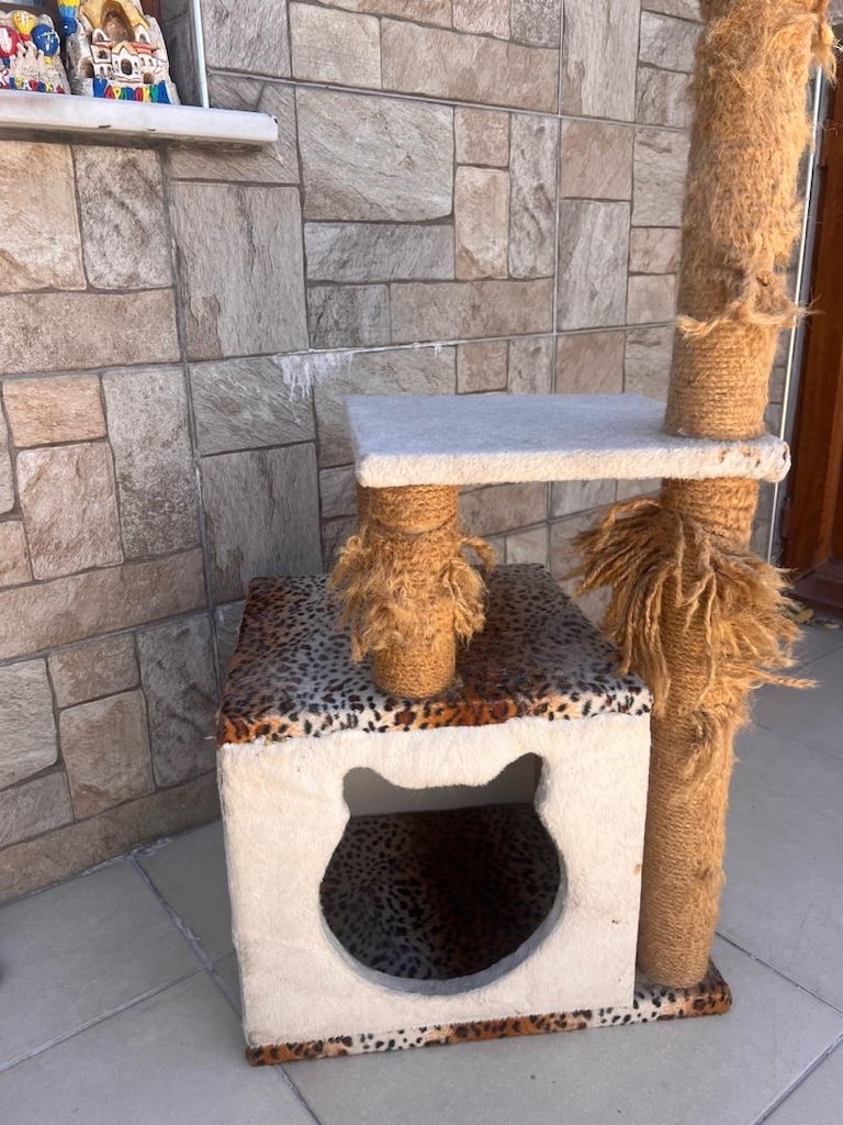 kedi evi - 4