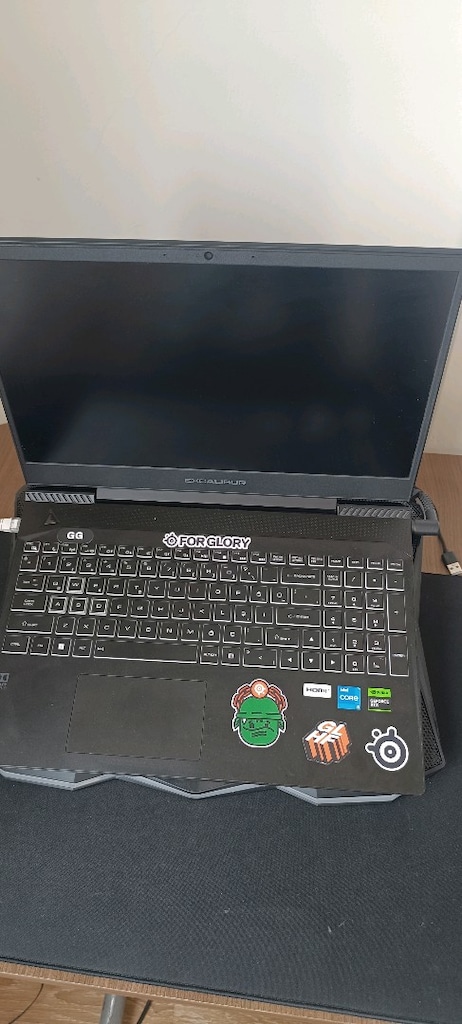 Excalibur G770 rtx350 - 10