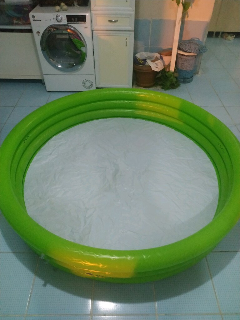 Bestway Canlı şişme havuz - 3