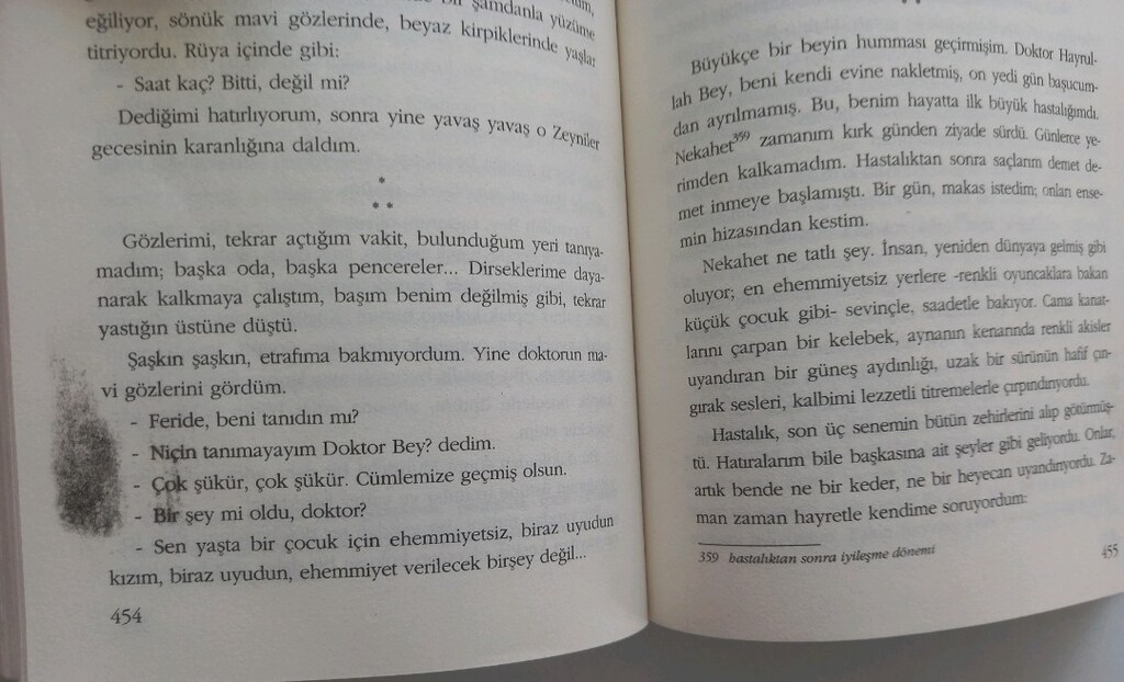 Reşat Nuri Güntekin - Çalıkuşu - 5
