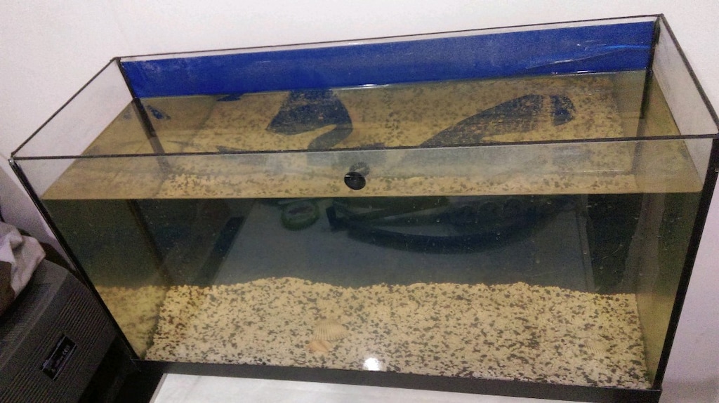 Akvaryum 1 mt lik 2.500 TL içi boş. - 7