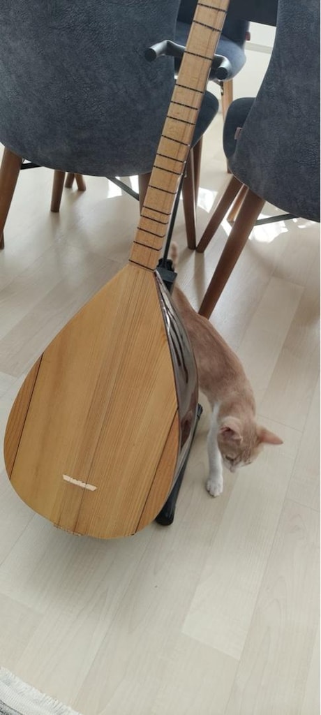 uzun sap bağlama - 2