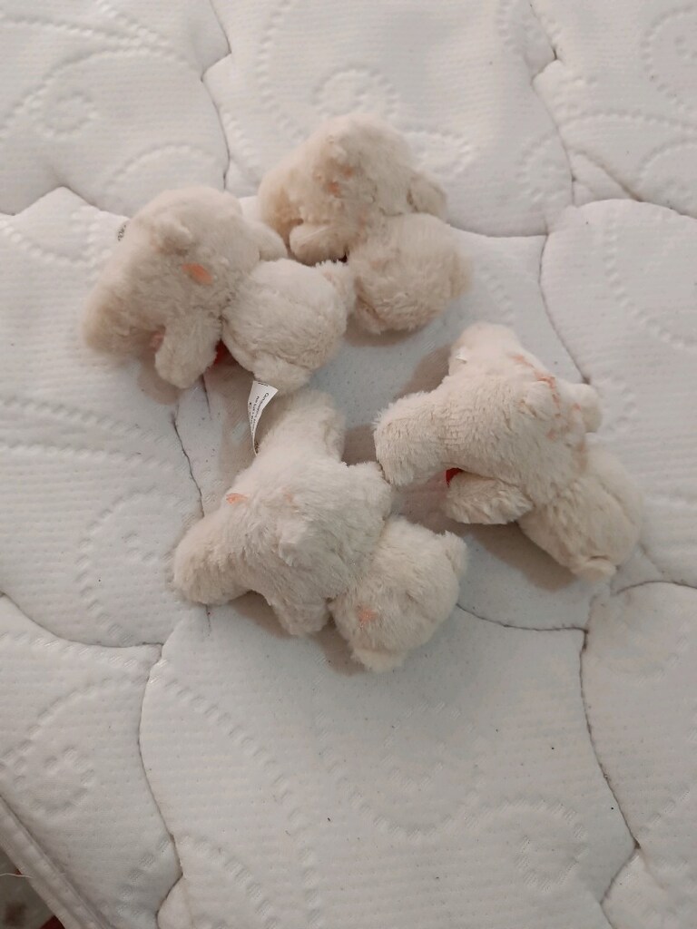 Sevimli renkli peluş ayıcıklar - 12