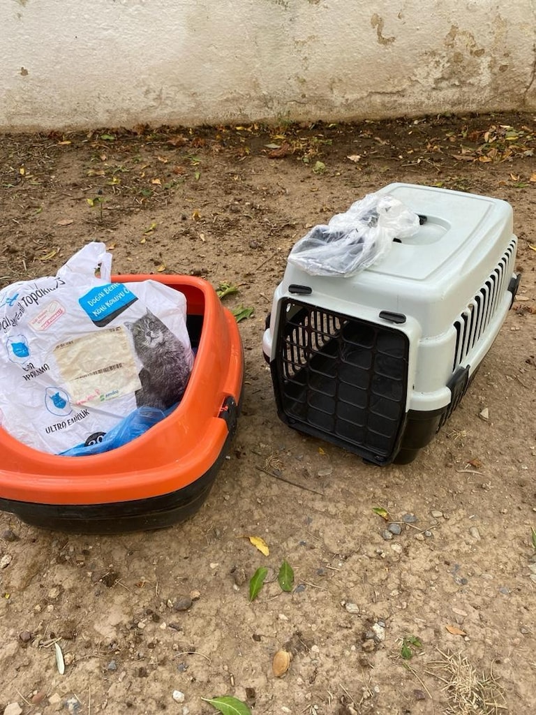 kedi taşıma kafesi ve kedi tuvaleti - 3