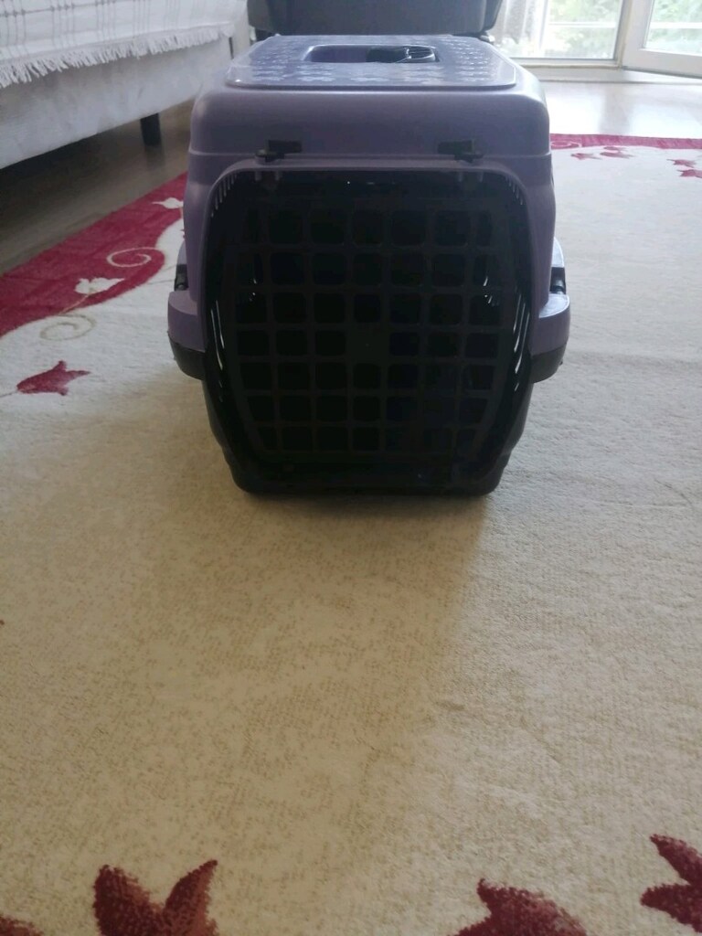 KEDİ İHTİYAÇ MALZEMELERİ - 12