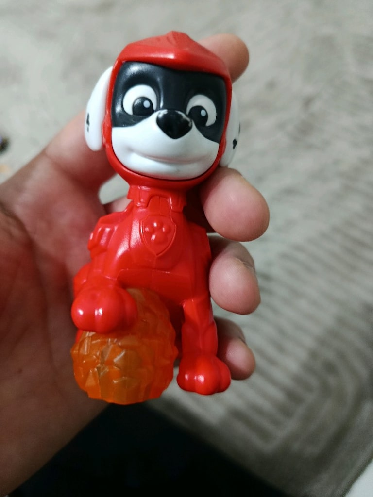 kahraman köpek - 3