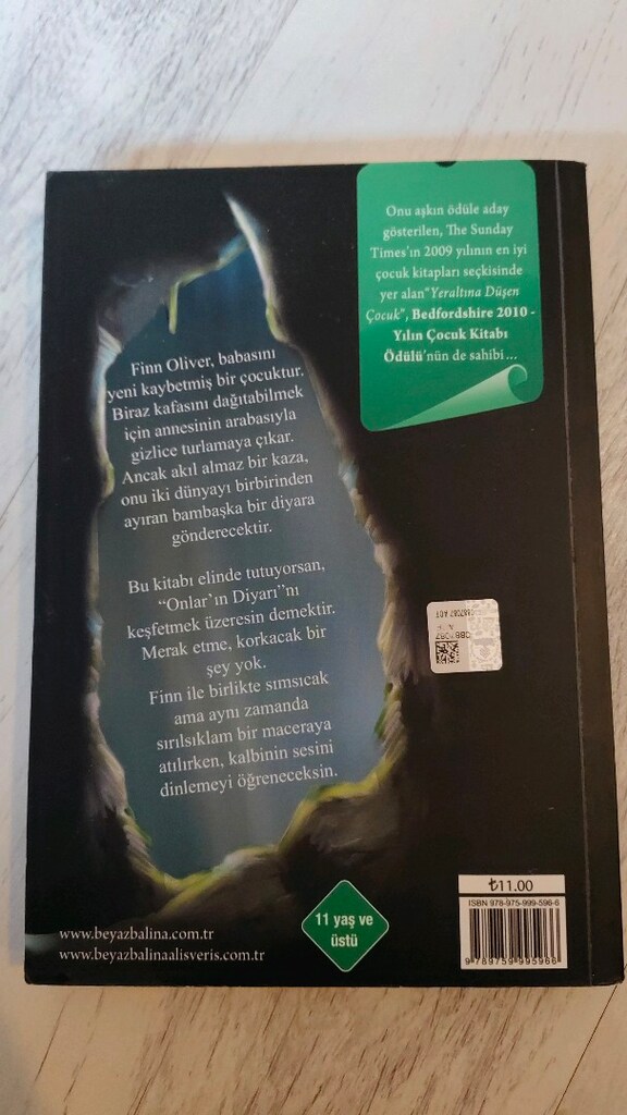 Yeraltına Düşen Çocuk Kitap - 2
