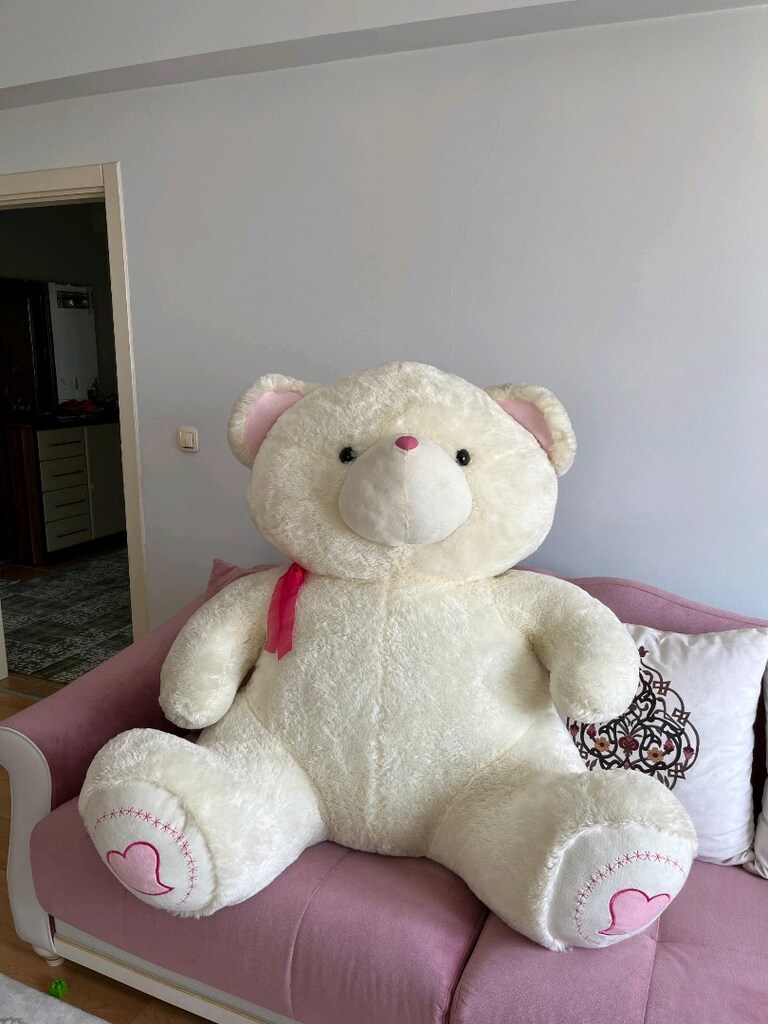 Malatya'nın en büyük ayısı peluş ayı - 6