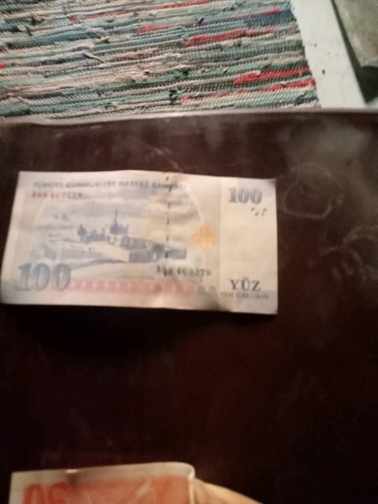 koleksiyonluk eski YTL paralar - 6