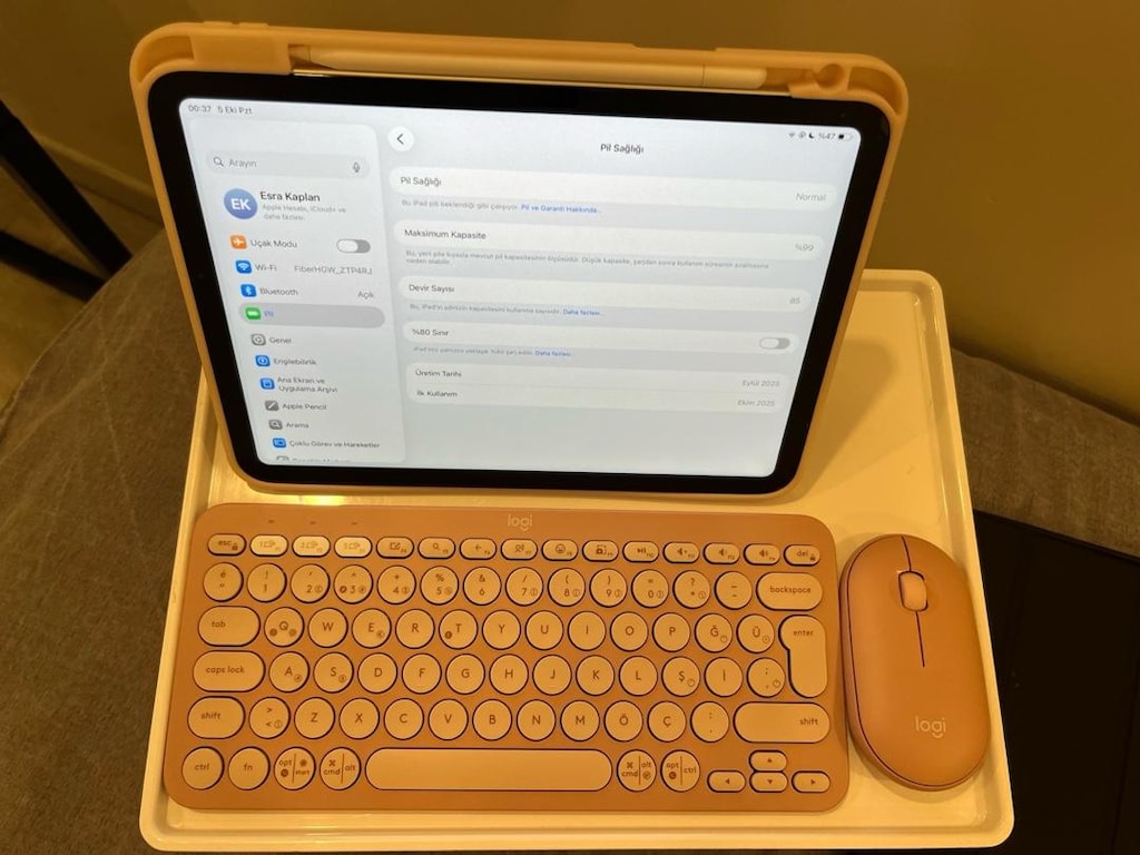 ipad A16 11. Nesil 256 GB - 3