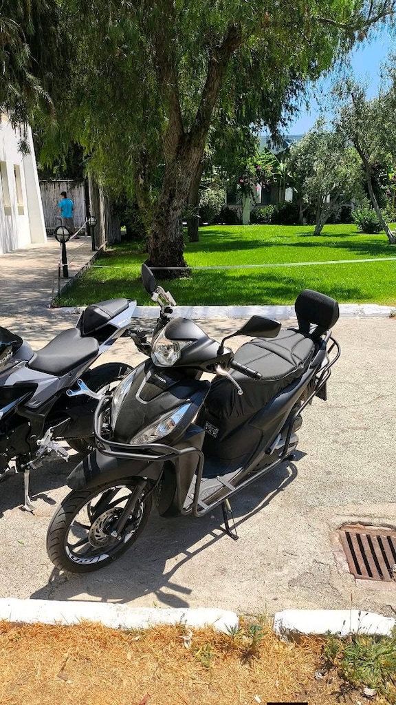 Honda Dio Gp Kompozit Sissy bar - 3