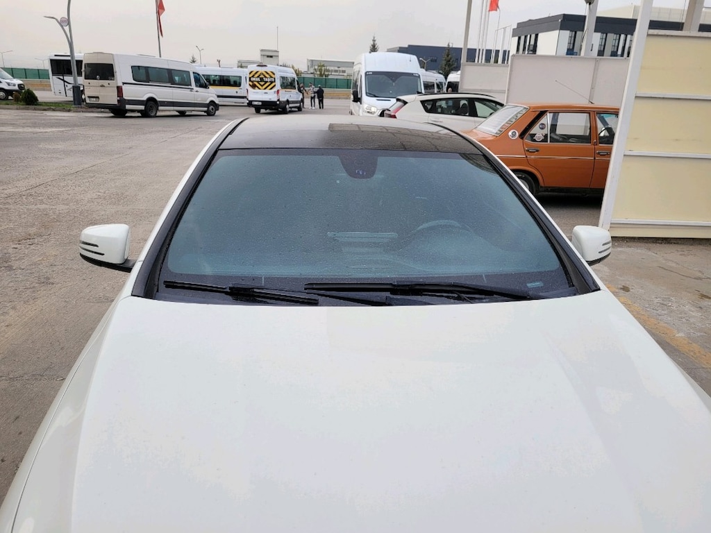 Asfalt Ceylanı - 2