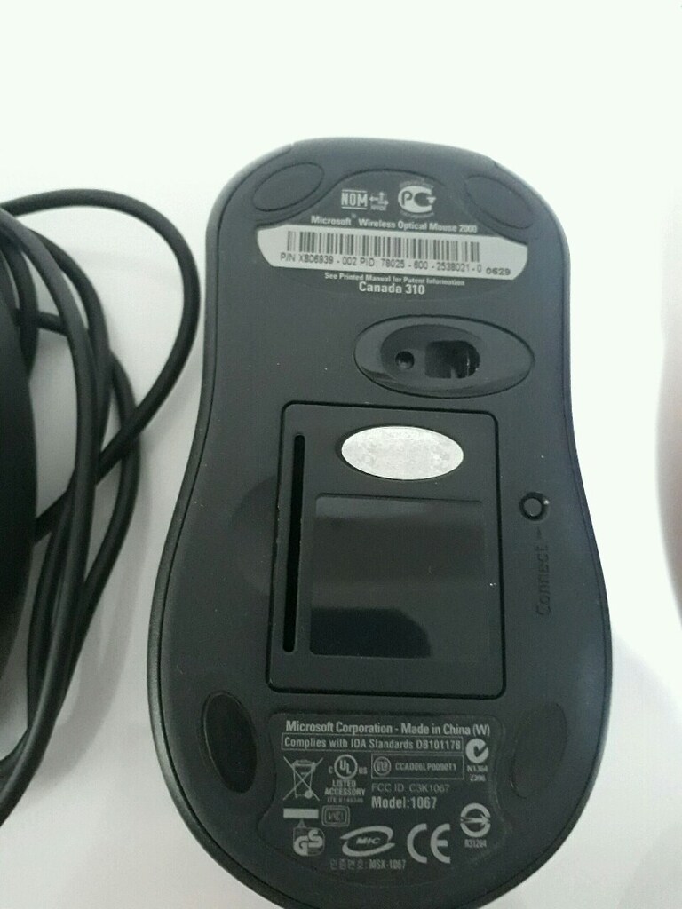 mouse - 6