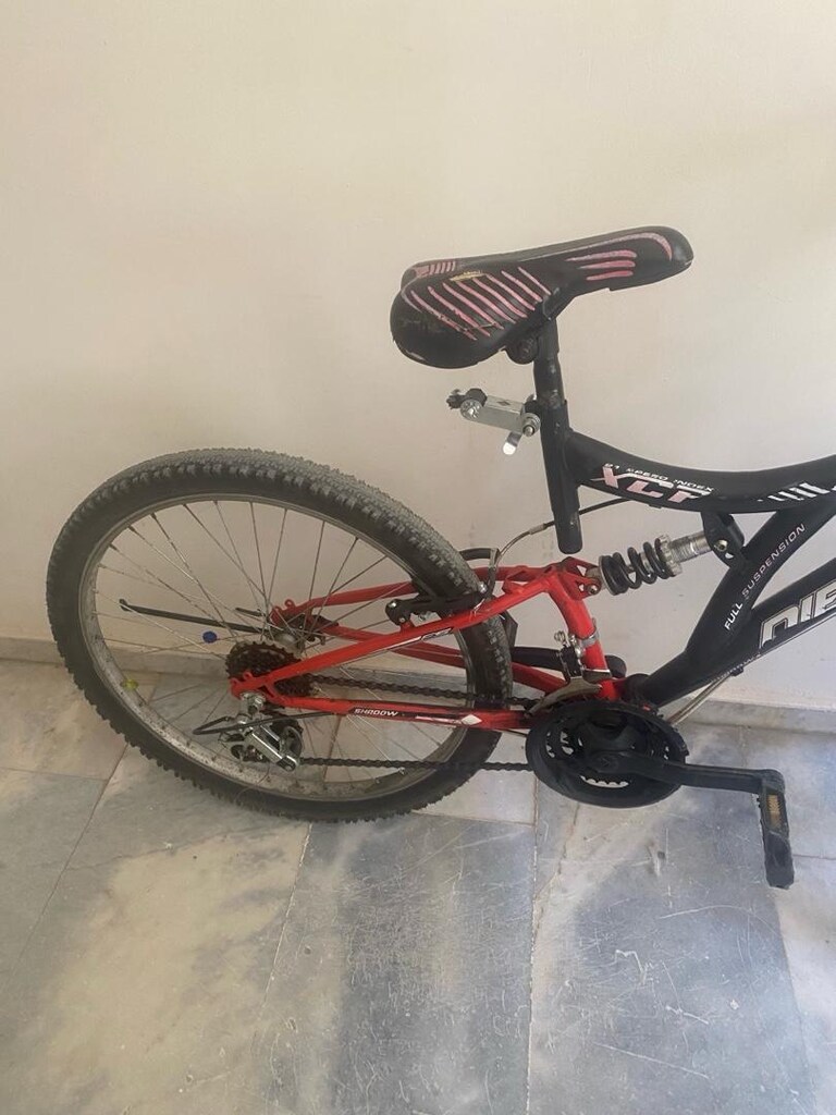 24 jant bisiklet - 3