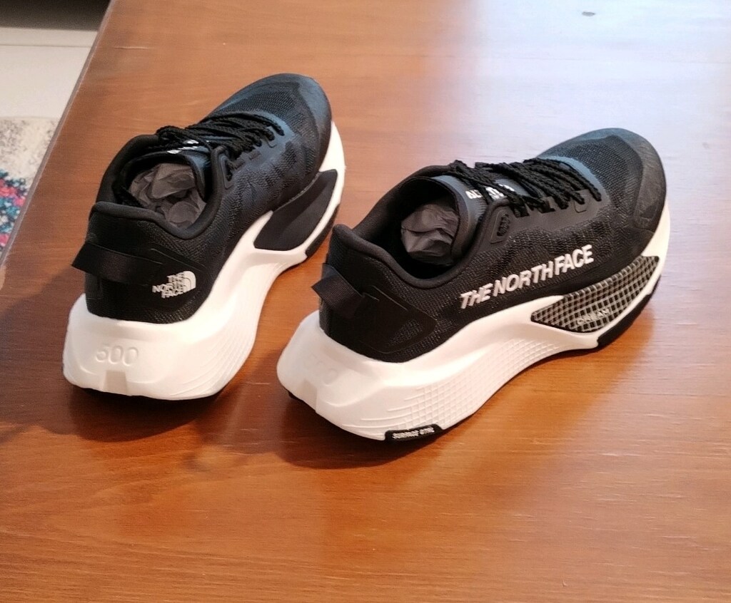 The North Face Altamesa 500 v2 44,5 numara - 4