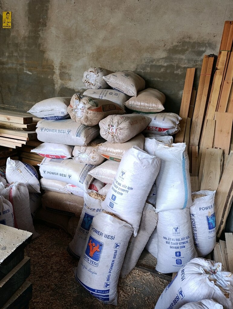 çam talaşı - 2