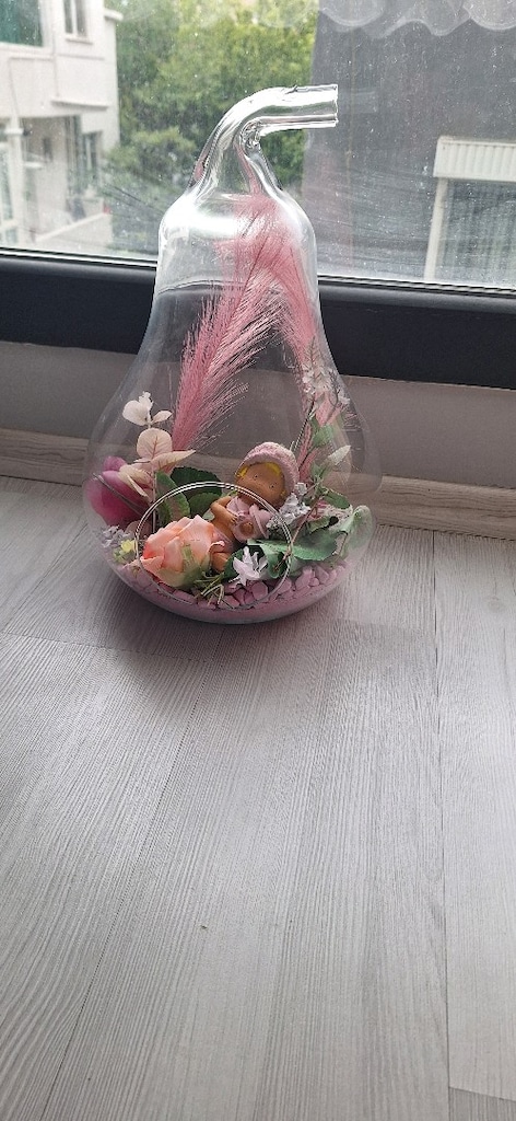 hoşgeldin bebek teraryum fanus en büyük boy