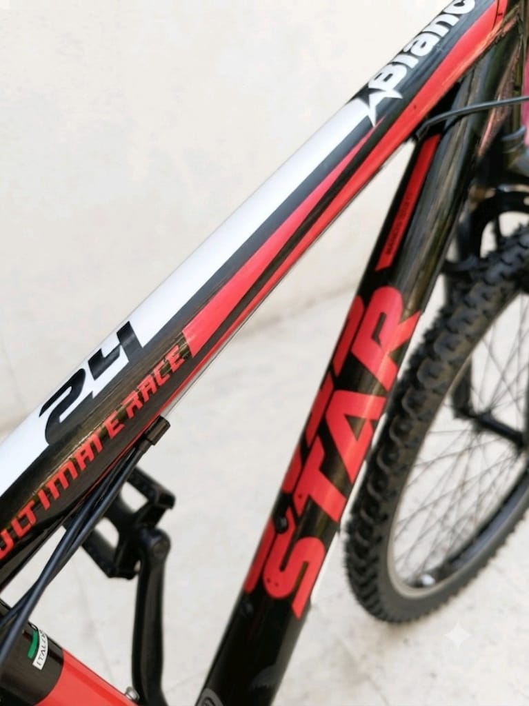 Teker 24. Shimano 21 hız. Amortisörlü. Yeni gibi İtalyan Bianchi. - 9