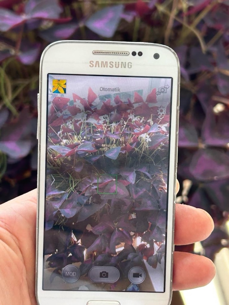 SAMSUNG MİNİ - 3