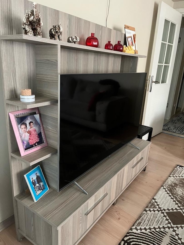 Televizyon ünitesi