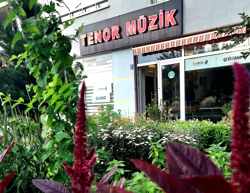 TAKAMİNE GC5 NATUREL ELEKTRO KLASİK GİTAR-2.EL - 4