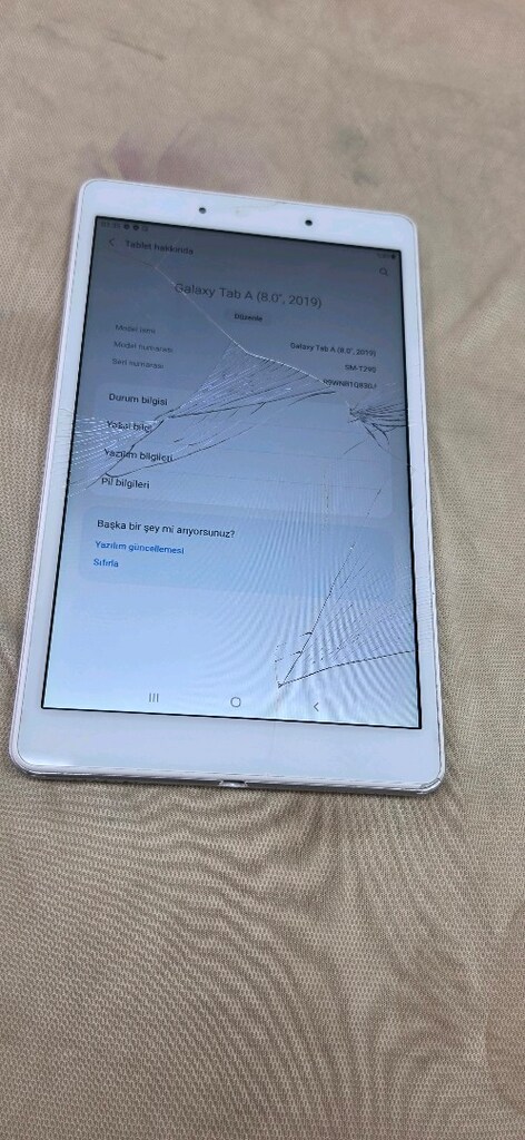 Samsung Galaxy Tab T 290 Cam Catlak - 2