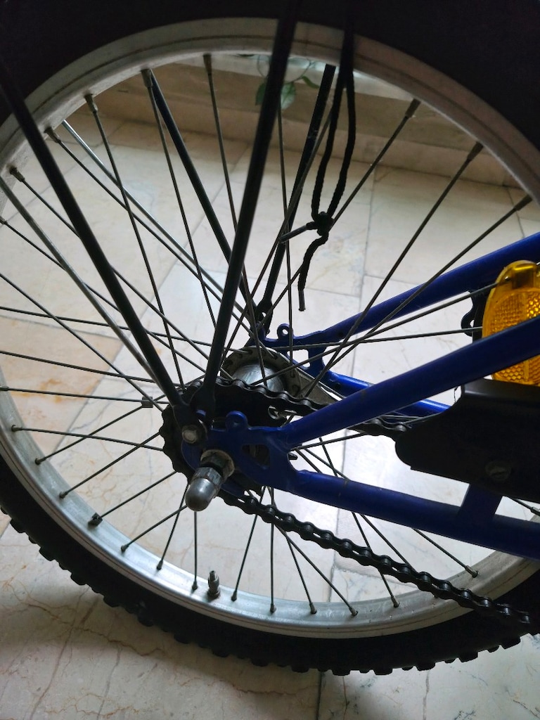 Salcano Ng750/Bianchi Luca24/20 Jant İthal Bisiklet - 7