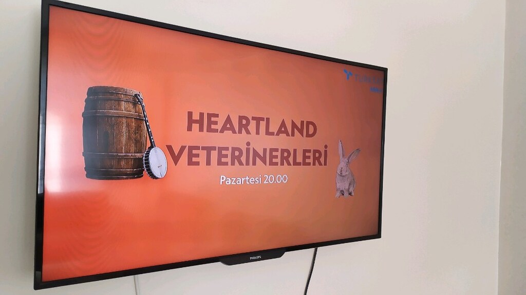 Philips Full HD 40" inç 102 Ekran Uydu Alıcılı Smart LED TV - 3