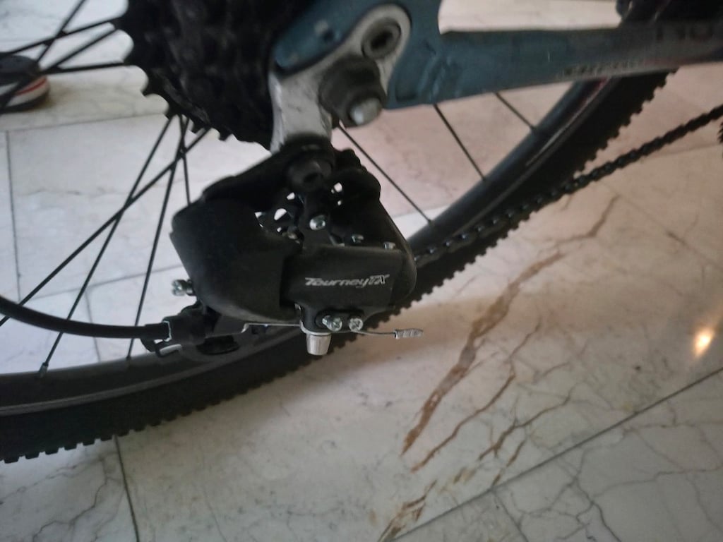 Salcano Ng750/Bianchi Luca24/20 Jant İthal Bisiklet - 2