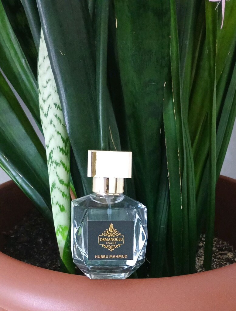 Silk Musk 50 ml parfüm - 2
