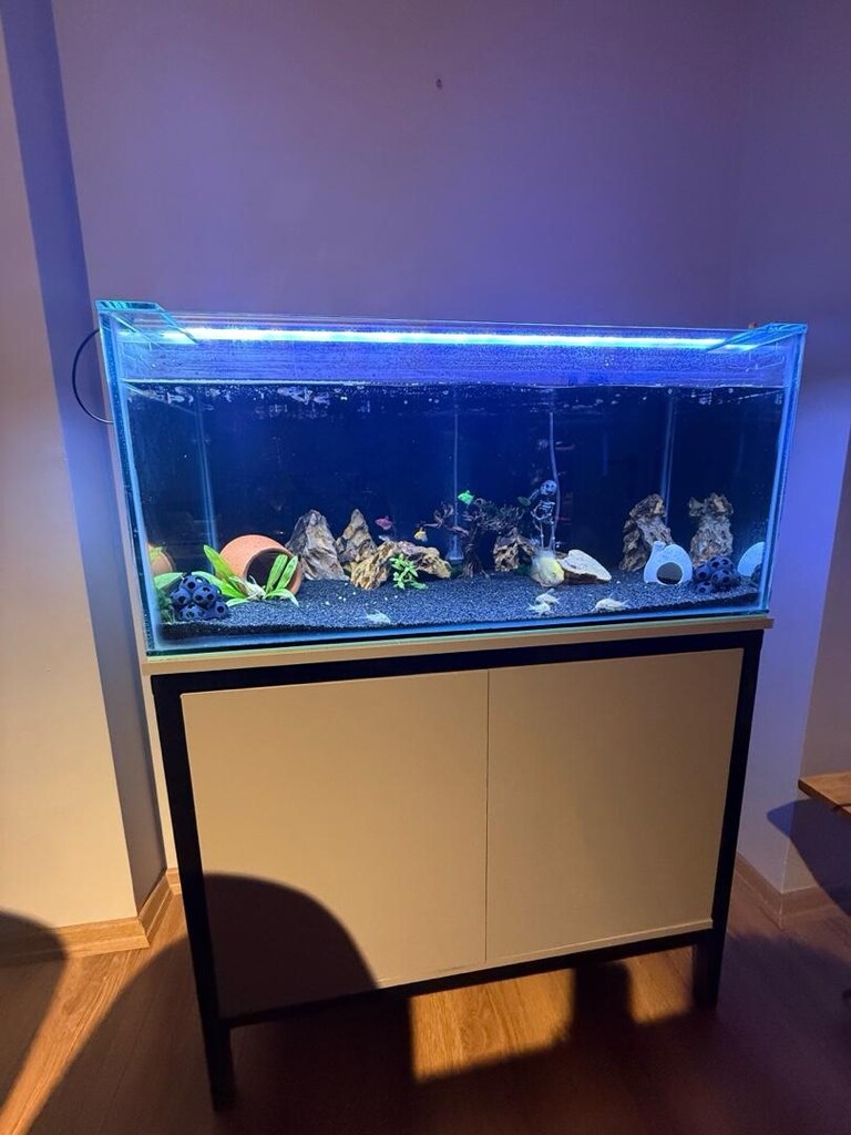 90*40*40 MOBİLYALI AKVARYUM VE BALIKLAR - 4