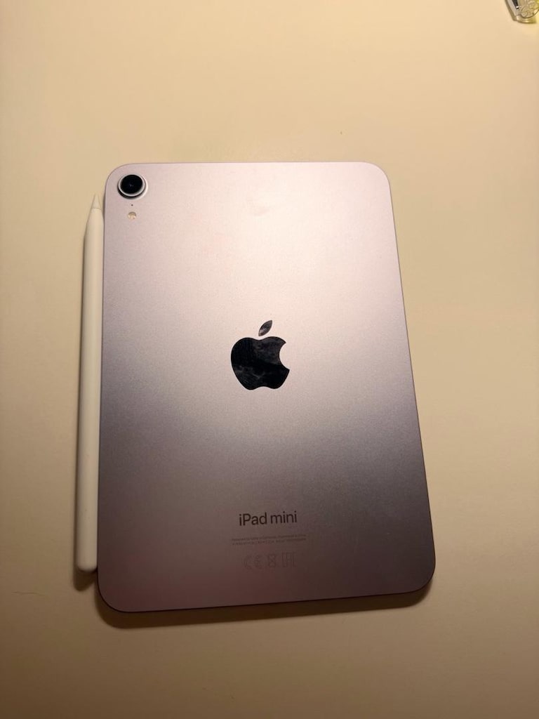 iPad Mini 7. Nesil Wi-Fi 256 GB 8.3" Mor Tablet ve Apple Pencıl Pro - 2