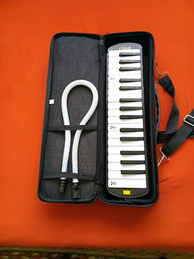 MELODİKA ORG - 5