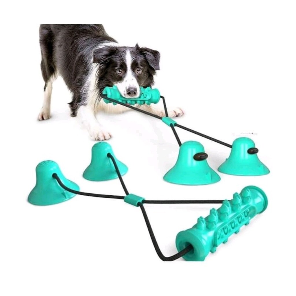 Köpek Diş Kaşıma Oyuncağı - 3