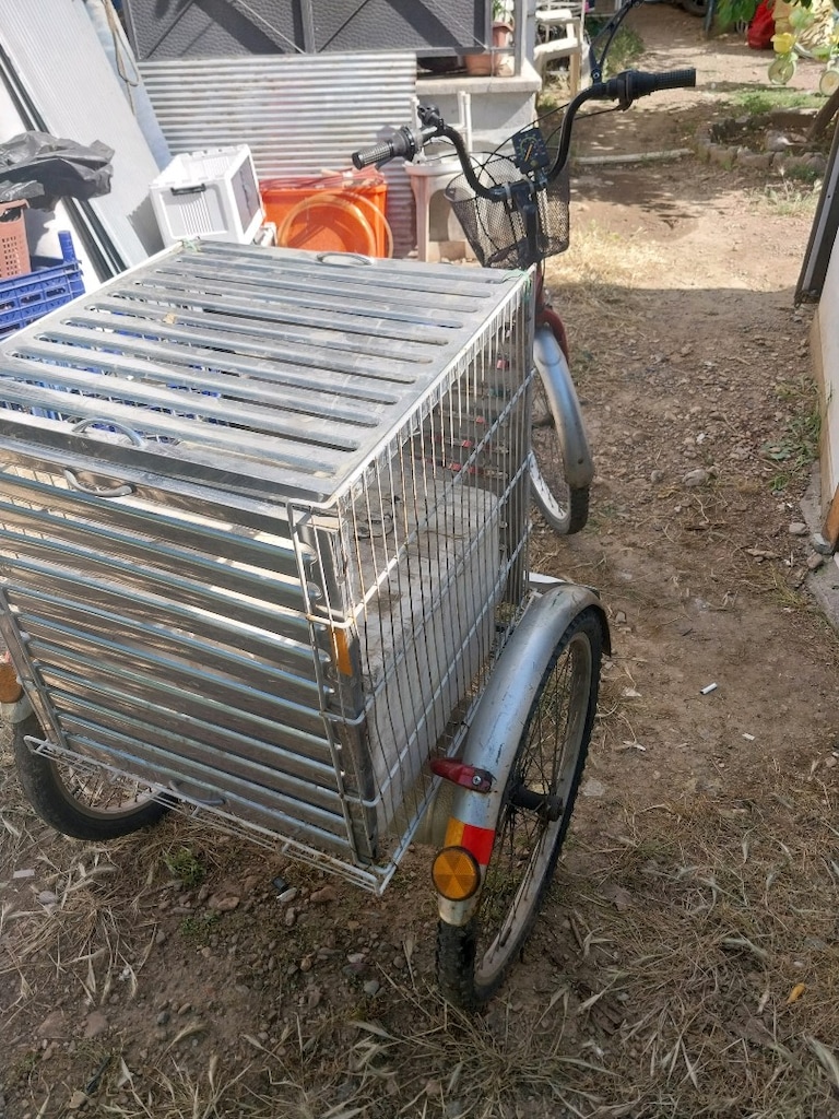 Üç tekerlekli bisiklet - 6