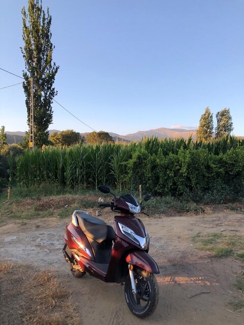 Honda Activa 125