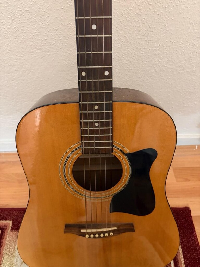 Ibanez Akustik Gitar - 13