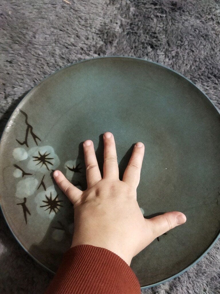 japon sakura çiçeği desenli pasabahceden alındı yurtdışı ürünü - 3