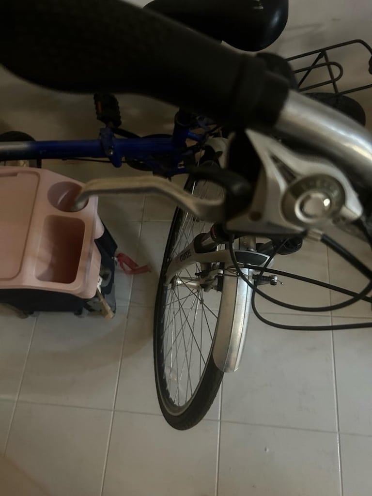 Sporcu 25 vites pionner bisikleti
