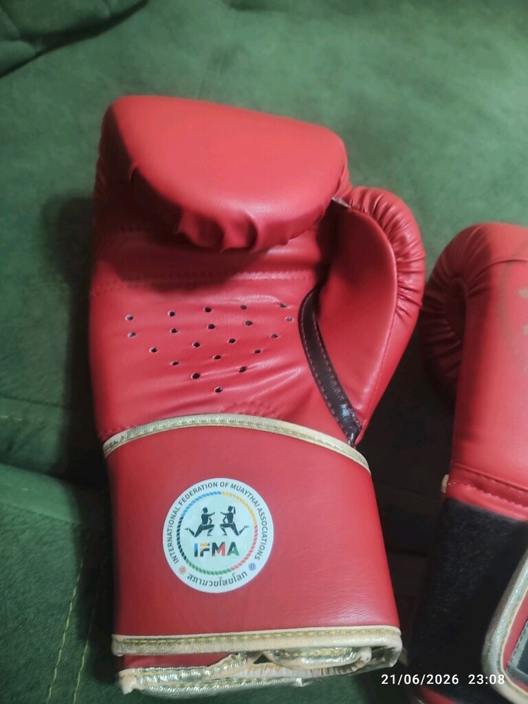 Dragon Boks Eldiveni - 5
