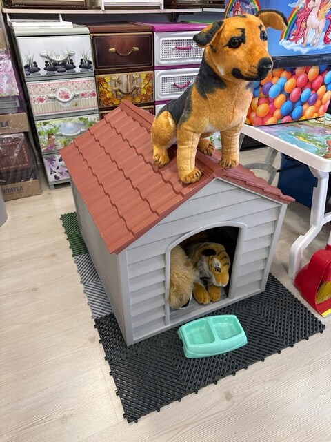 KÖPEK KULÜBESİ