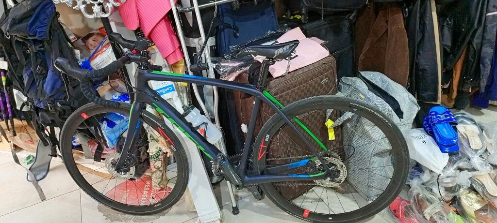 TREK DOMANE SL - 15