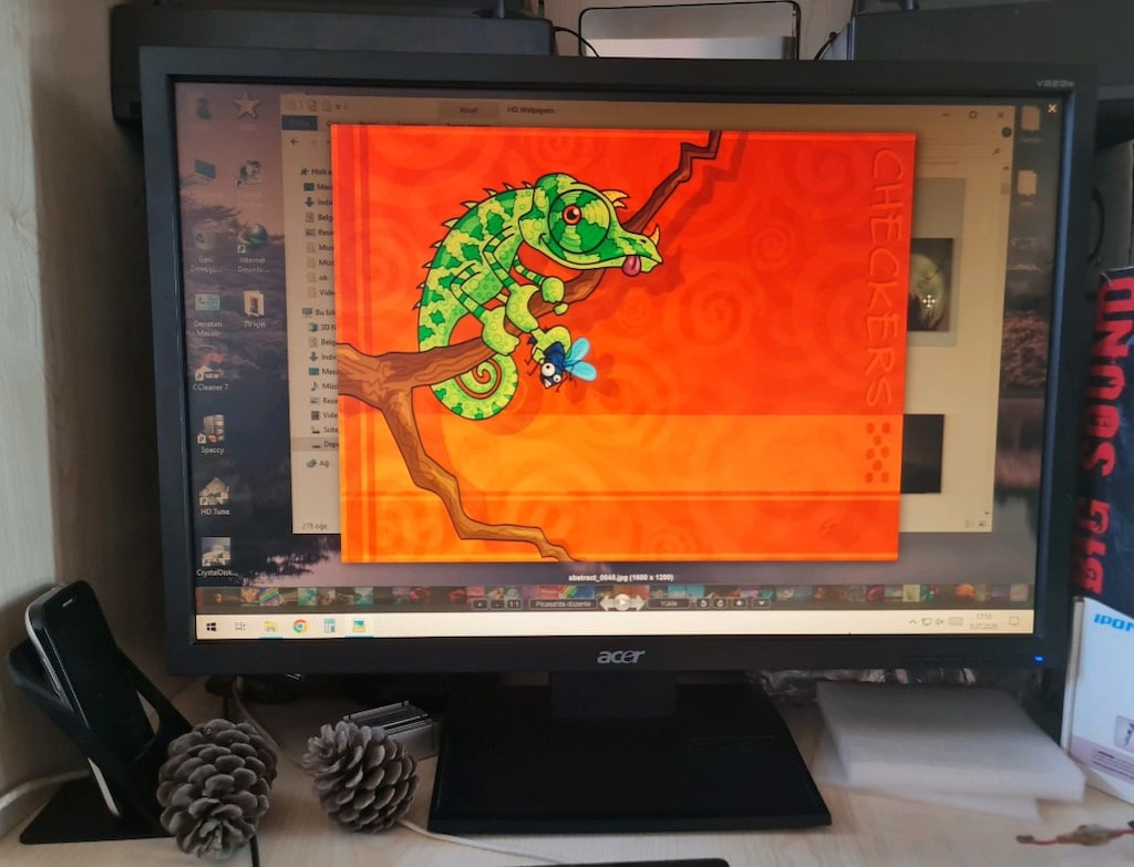 Acer 22 İnç LCD Monitör - 11